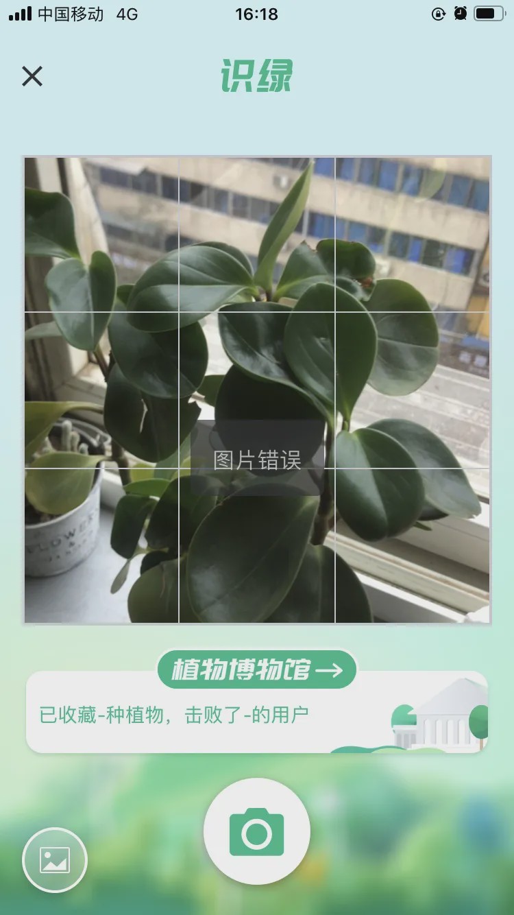 哪个识花软件最好用,识花app免费的哪个好