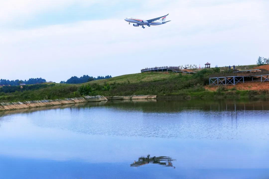 在空港花田里怎么拍照好看,每张都是屏保