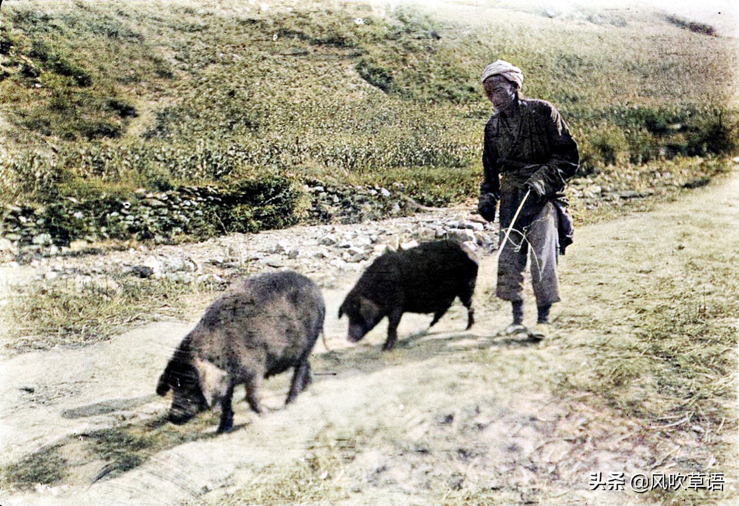 百年前的茂县,茂县摄影师