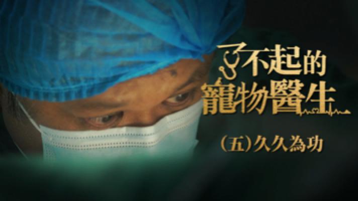 有良心的宠物医生,什么都能治的宠物医生