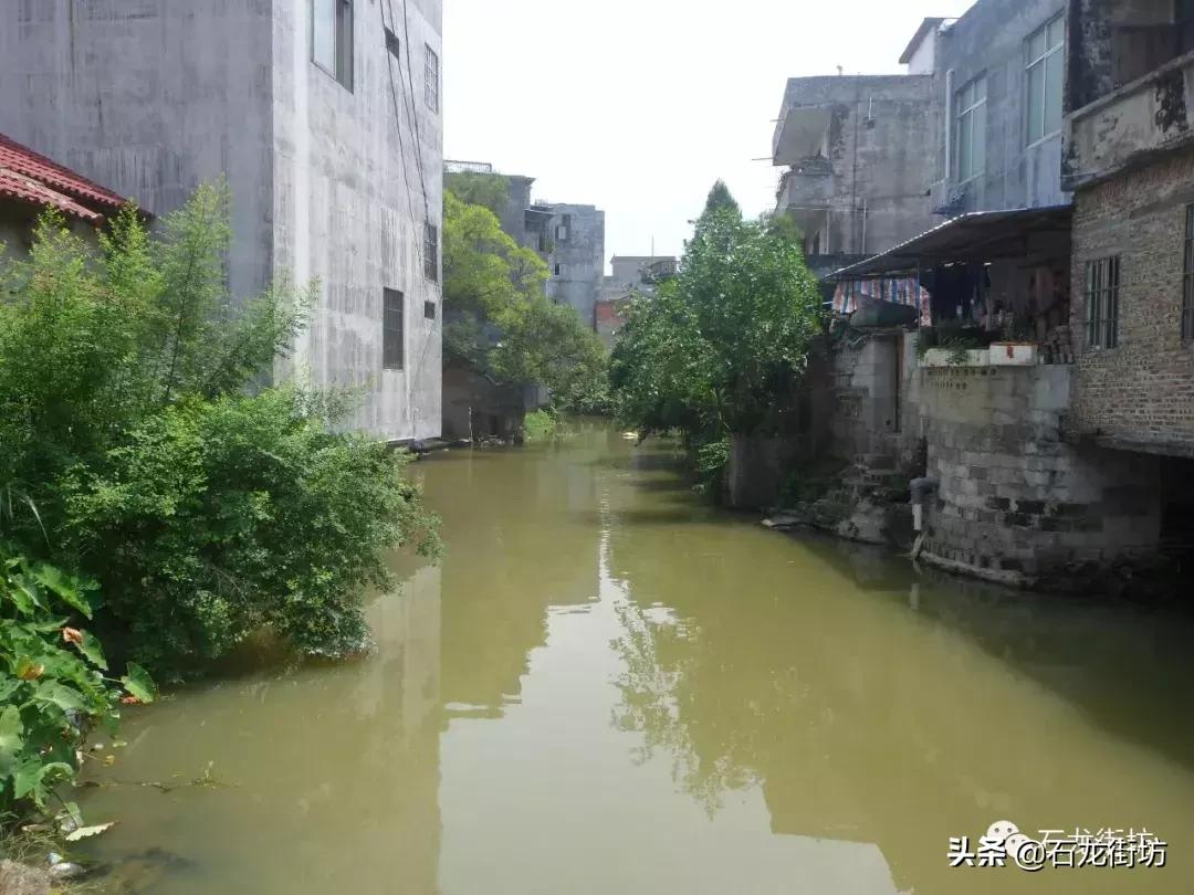 桂平探访古镇老街,桂平石龙老街的历史