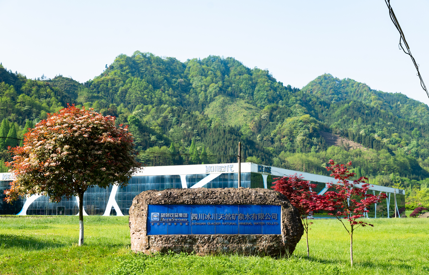 四川蓝剑饮品集团上市,四川蓝剑饮品集团营业额