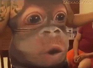 男朋友又胖又丑是一种怎样的体验,男朋友又丑又胖但是对我好