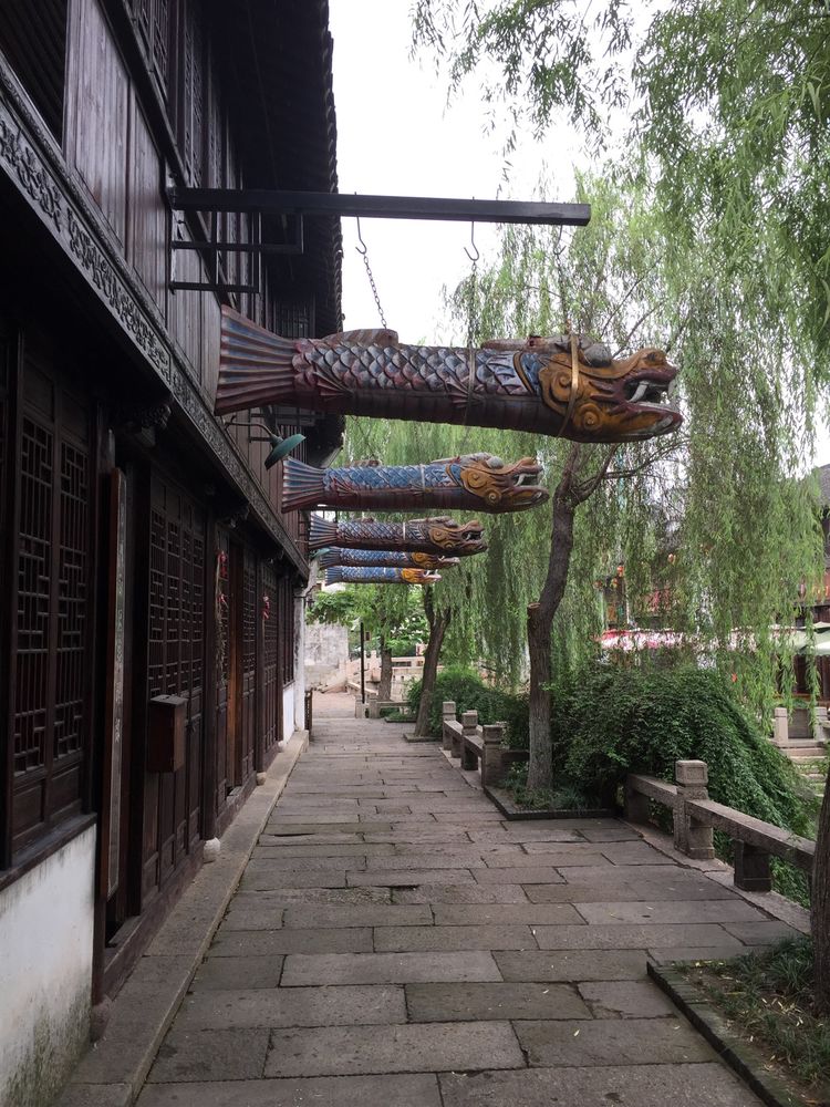 嘉兴月河古镇在哪里啊,嘉兴月河街开放时间