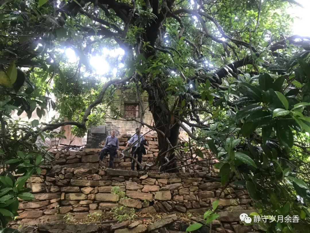 白果云雾山,麻城白果云雾山景区
