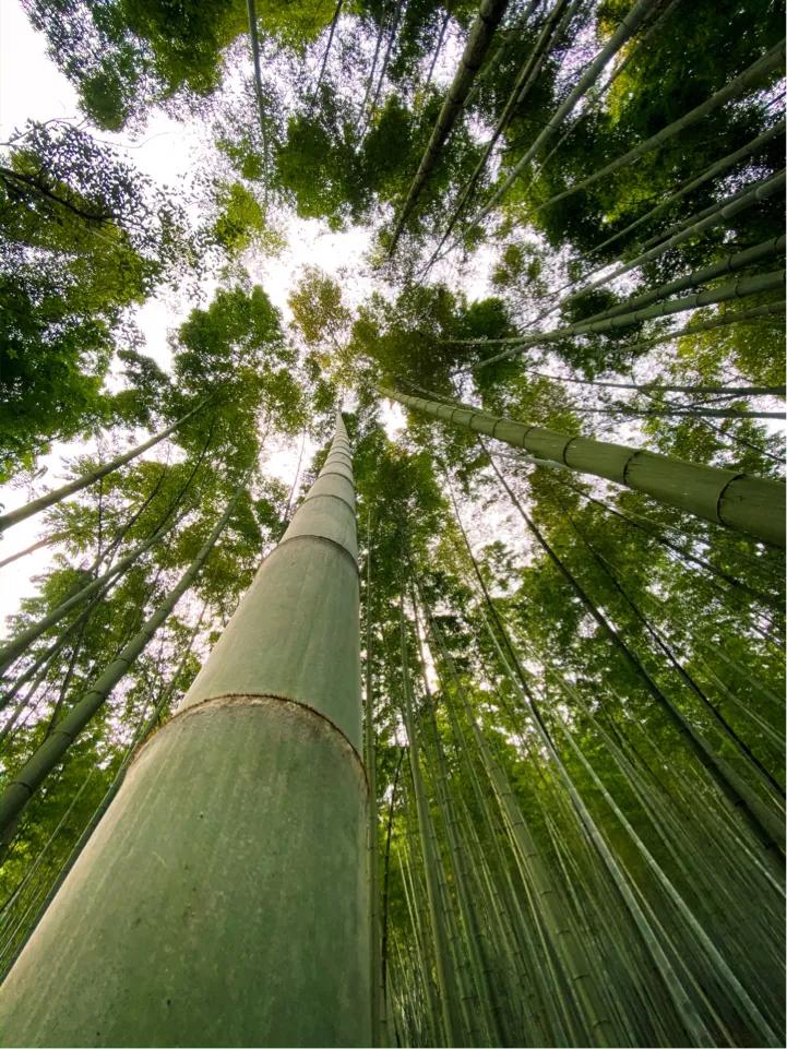 美丽的四川,四川长宁县风景
