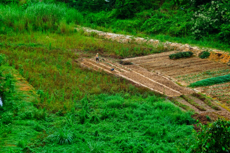 广东最没存在感的城市云浮,广东云浮是什么样的城市