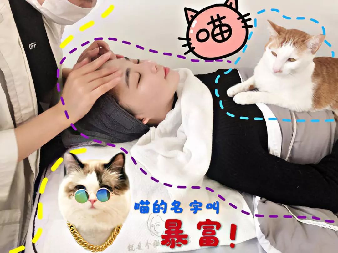 美业测试,美业测试项目