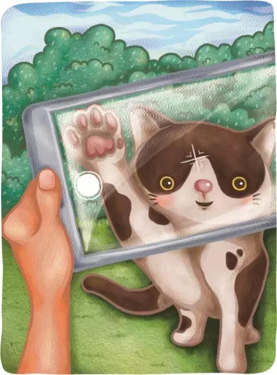 桌游猫街,美好的桌游猫街