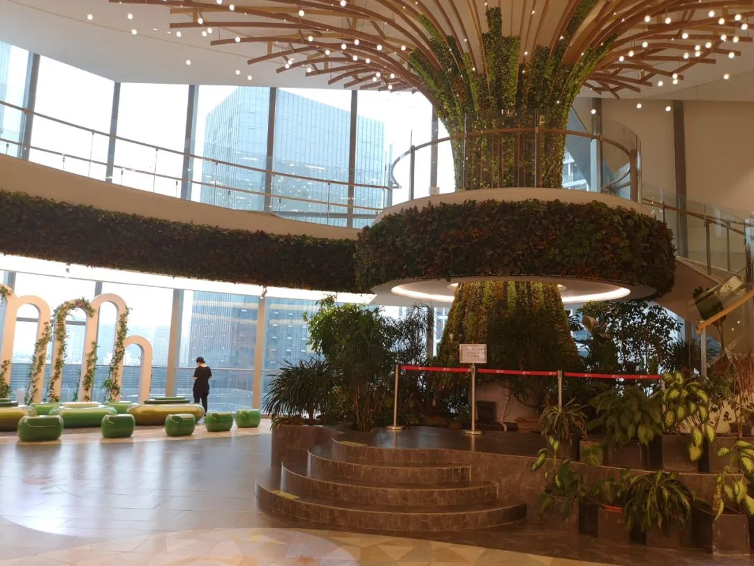 围挡关门，租金收入倒数，杭州大悦城也水土不服？