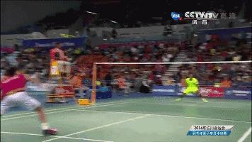 金秋诗画（学羽精华33.发力技巧）