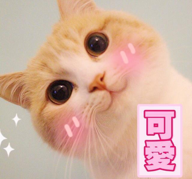 恋与制作人李泽言贴心照料,恋与制作人李泽言中式婚礼剧情