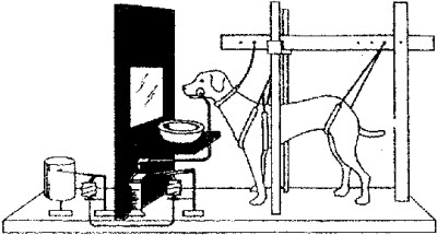 孩子考试心里紧张是什么原因,小孩考试紧张脑子一片空白怎么办