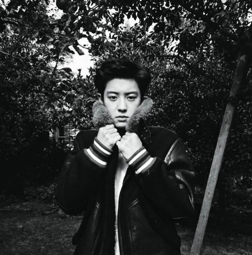 找好看高清的爱豆头像,那些爱豆头像都是在哪来的