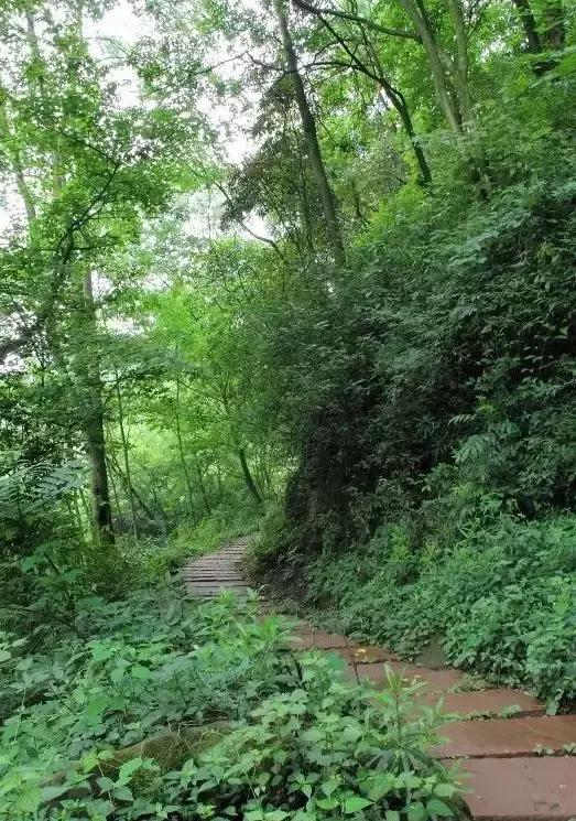成都耍水露营避暑的景点推荐,热得冒烟的天气
