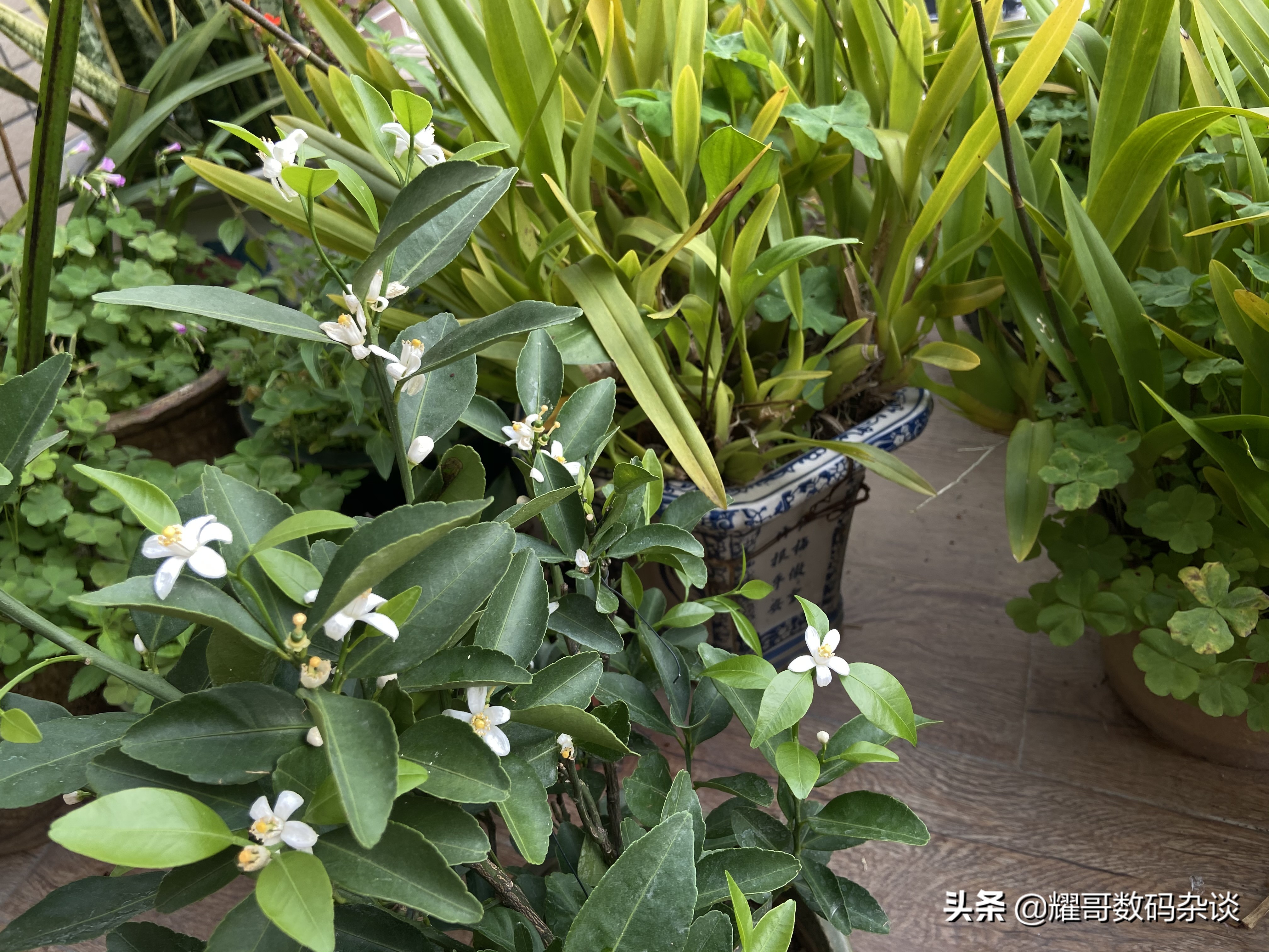 redmik30pro详细测评,redmik30pro深度测评