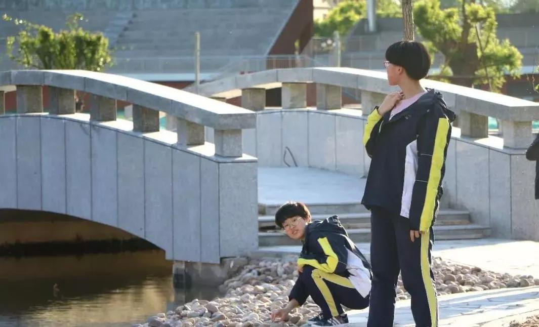 石家庄十五中是几梯队,石家庄15中为啥没初中