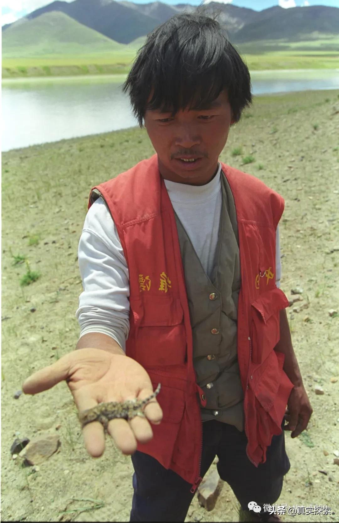 雅鲁藏布江大峡谷秘密,雅鲁藏布江大峡谷大瀑布