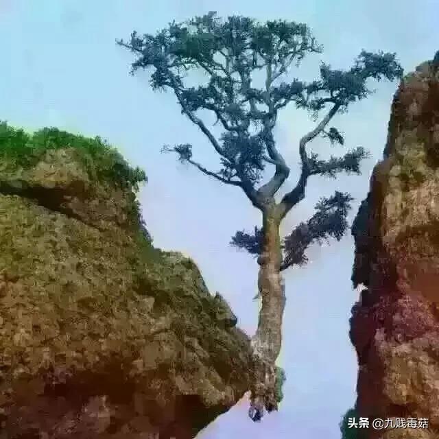 小说续写文案,小说续集第二部