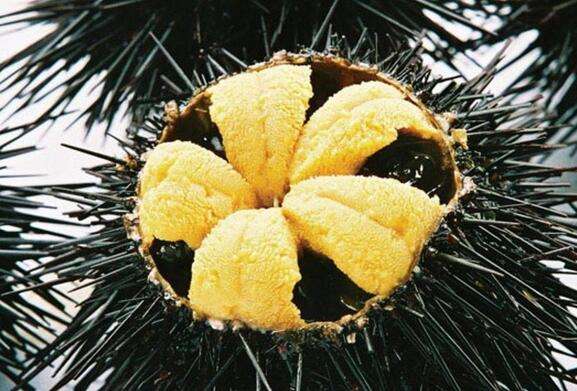 大连长海县海鲜自助,长海县海鲜预订