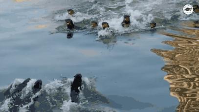 五月的最后一天是星期几,五月的第三个星期天是什么节日
