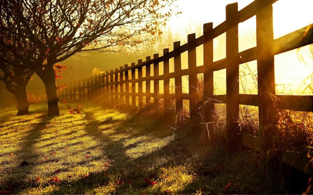 二婚和复婚选择哪个更幸福,二婚和复婚哪个会更幸福呢