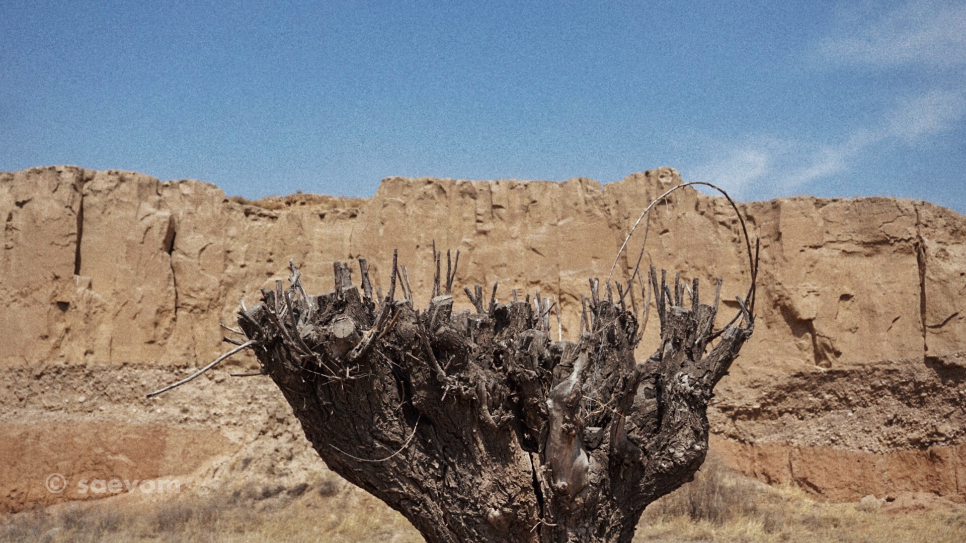 宁夏腾格里沙漠游玩攻略,宁夏沙漠旅行攻略