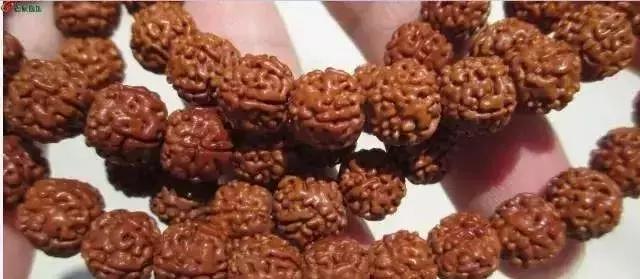 便宜金刚有盘玩价值吗,几十块钱的金刚能盘玩吗