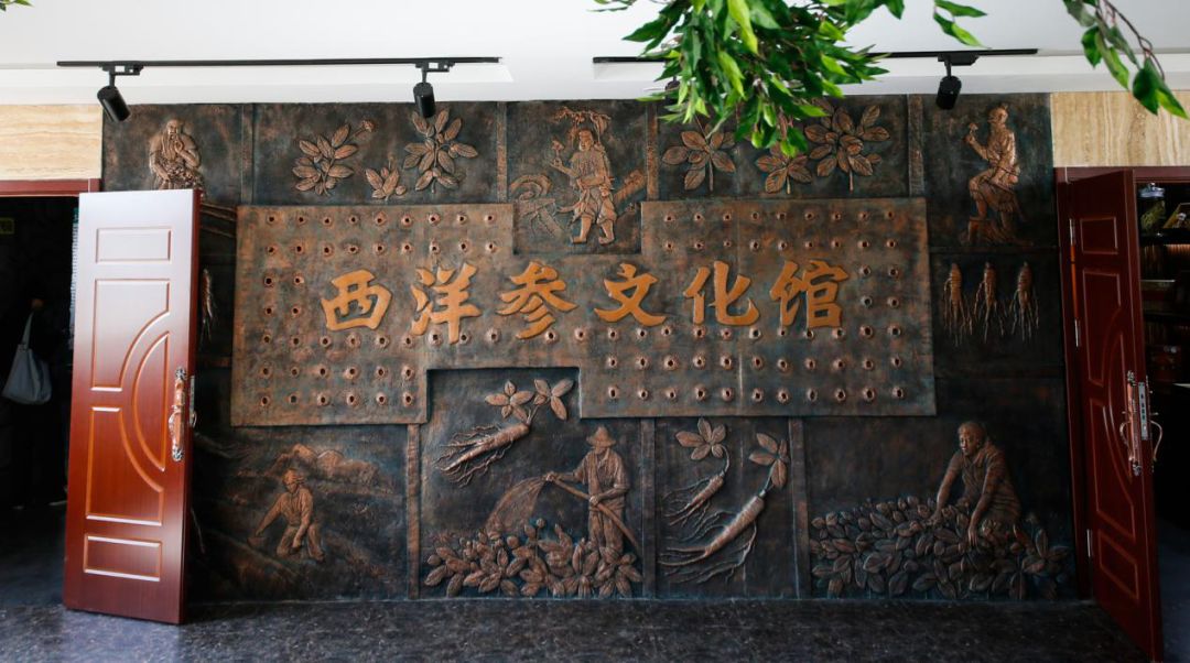 37.5度表白圣地情暖威海,冬游威海表白季