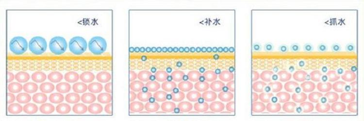 白富美就得靠补水！只知道敷面膜可不一定能得到好的效果