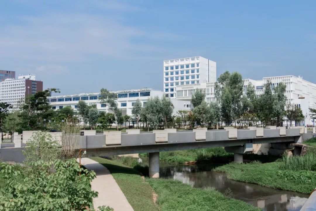 深圳好玩景点地铁路线,深圳好玩免费景点地铁直达的