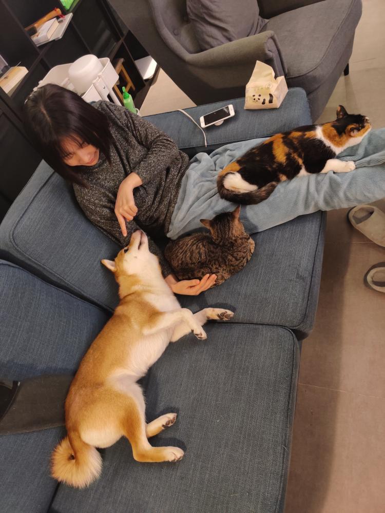 支付宝硬核技术,支付宝的神秘面纱