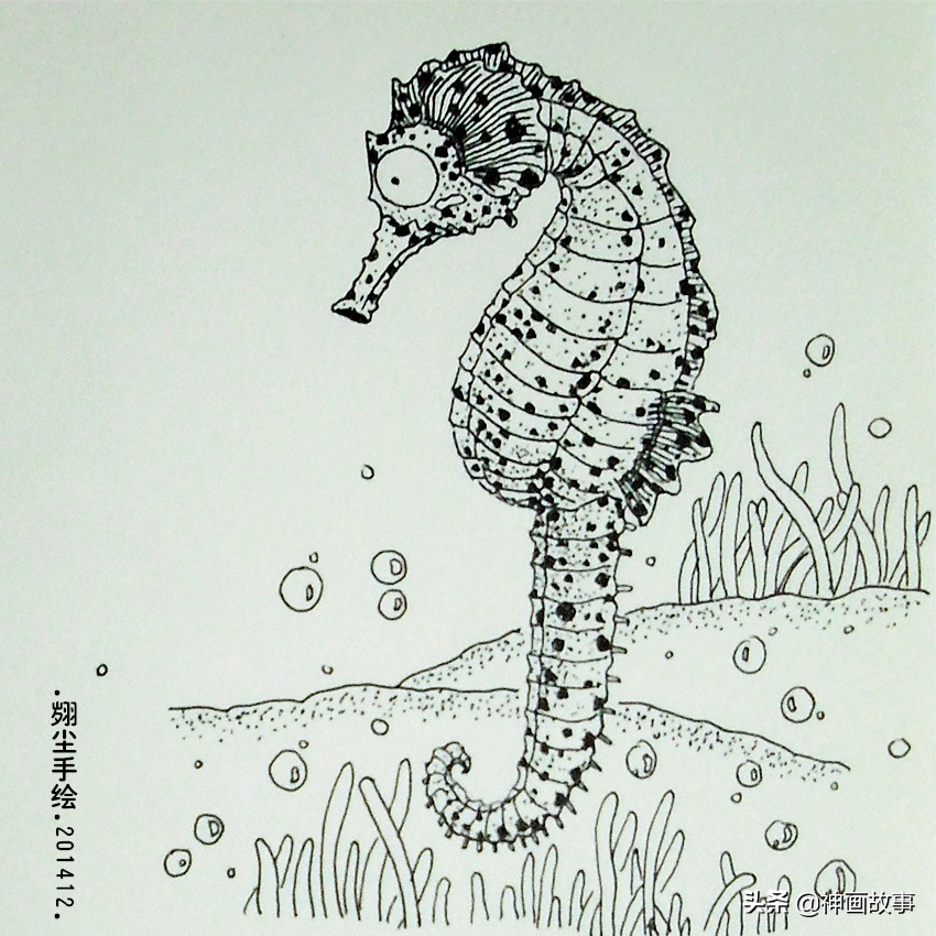 彩铅画q萌的萌宠,怎样画超写实宠物插画