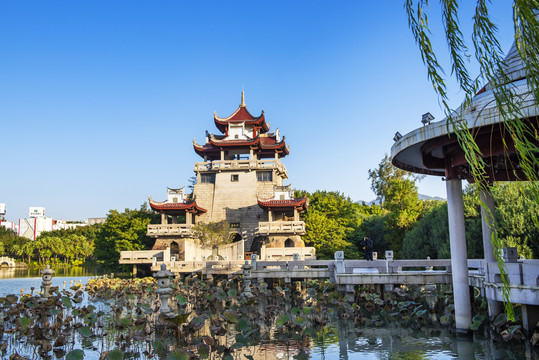 留从效简介,留从效主要成就