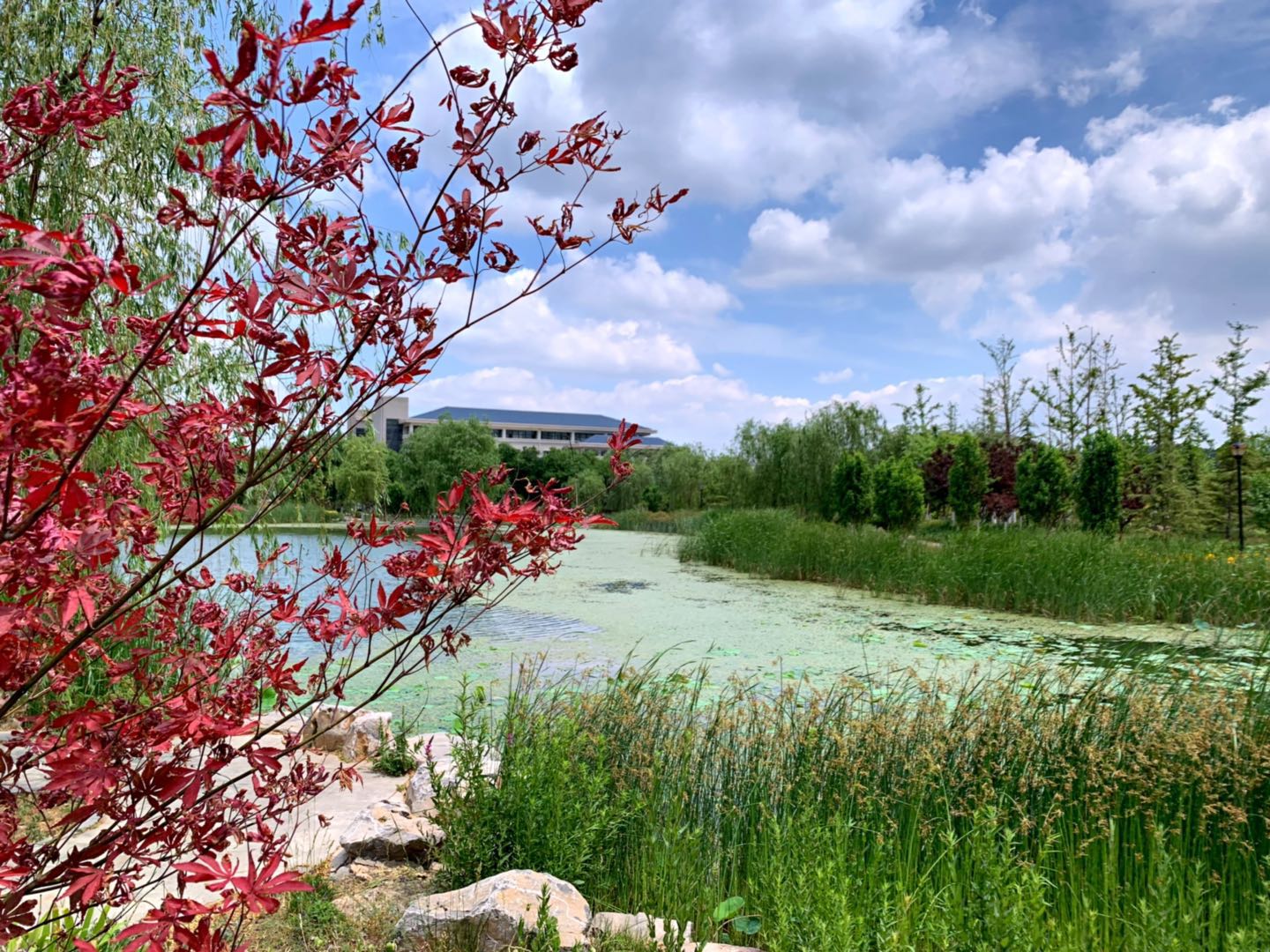 山东警察学院毕业分配去向,山东警察学院是一本吗