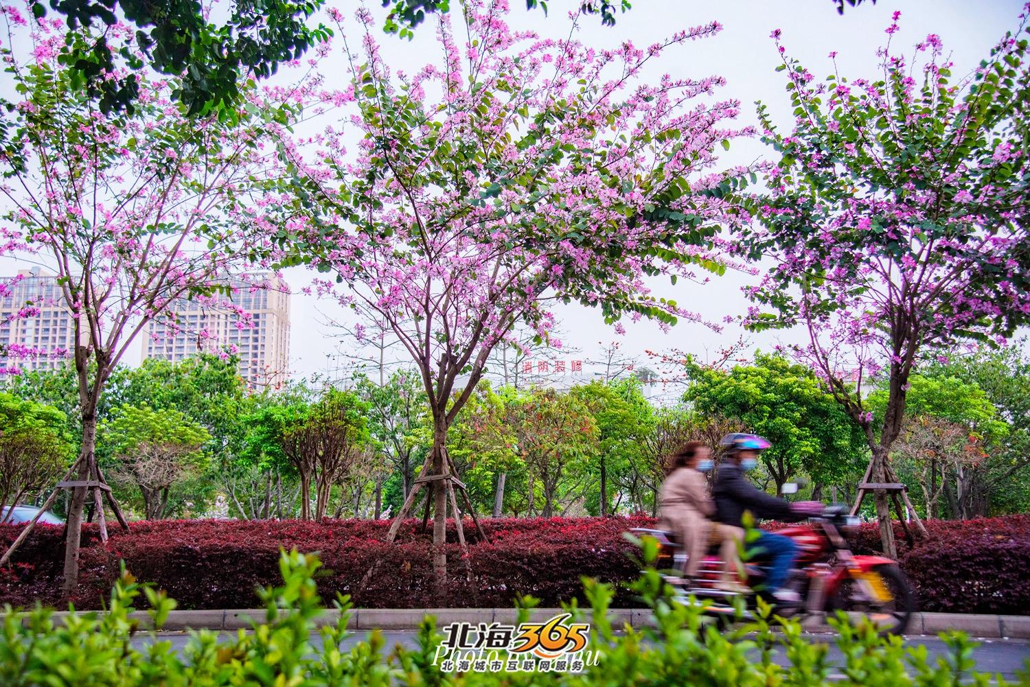 交房高品质,交房推荐楼盘