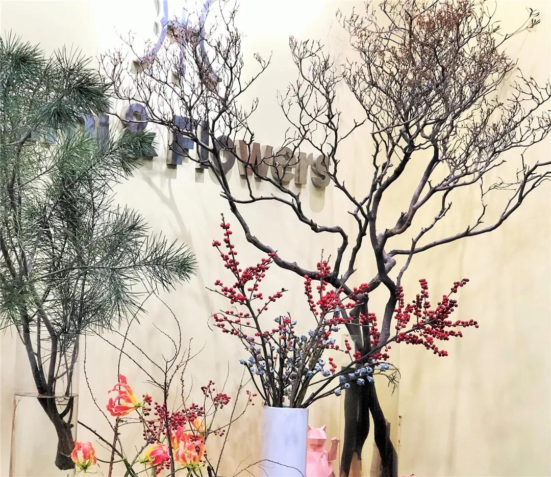 瀛氱編鑺卞皻,鍖椾含瀛氱編鑺卞皻