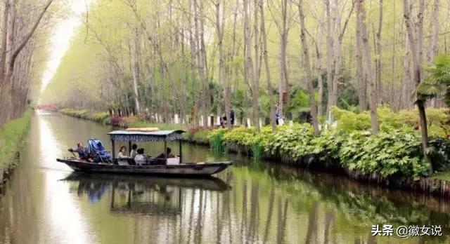 合肥各个区pk郑州,合肥是全国最漂亮的城市吗