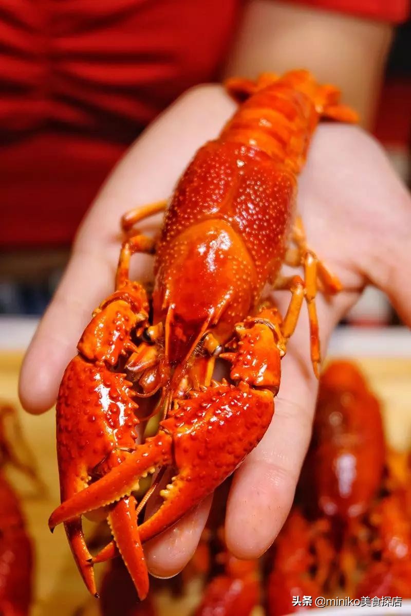 成都长沙口味虾,长沙口味虾和招牌口味虾