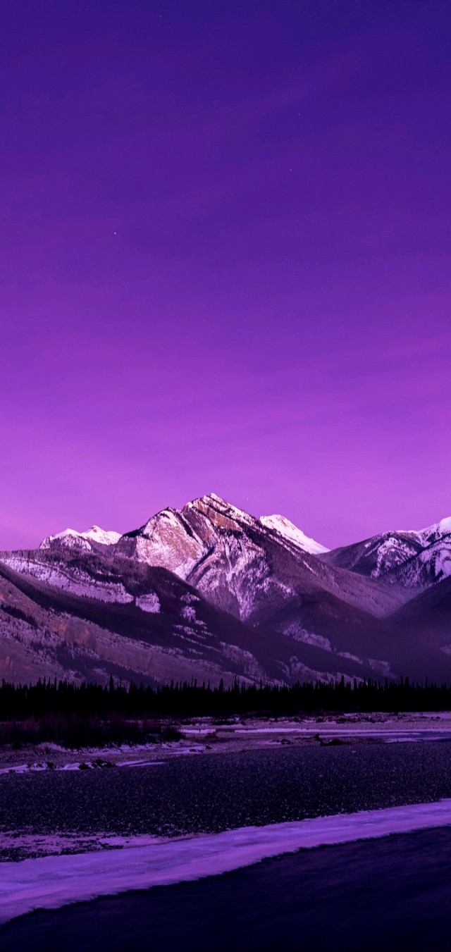 爱丽丝梦游仙境壁纸樱花校园,手机壁纸樱花