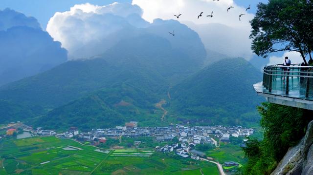 福鼎旅游数据,福鼎纪录片