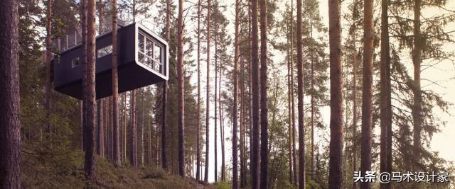 南通树屋酒店,森林树屋酒店