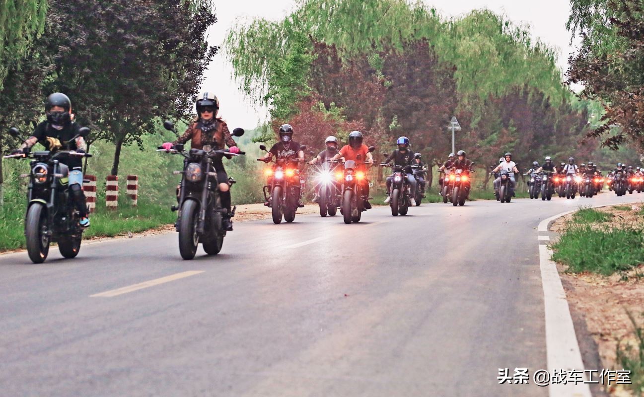 群狮呼啸！车主的节日！---2019幼狮500车主全国聚第一届