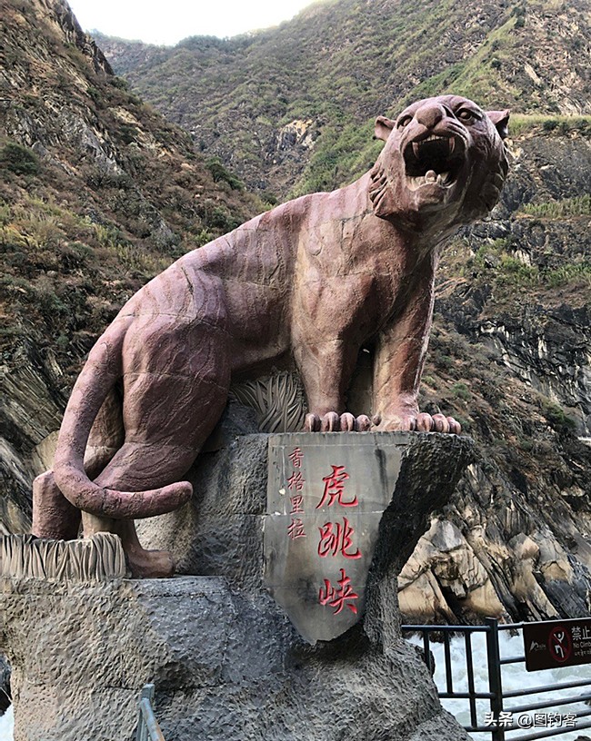 金沙江上游的江鱼有哪些,金沙江上游都有哪些鱼种