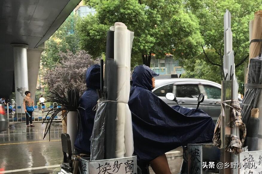 40岁的农民,靠种茴香或换纱窗,投资1万元日赚300元,咋做到的