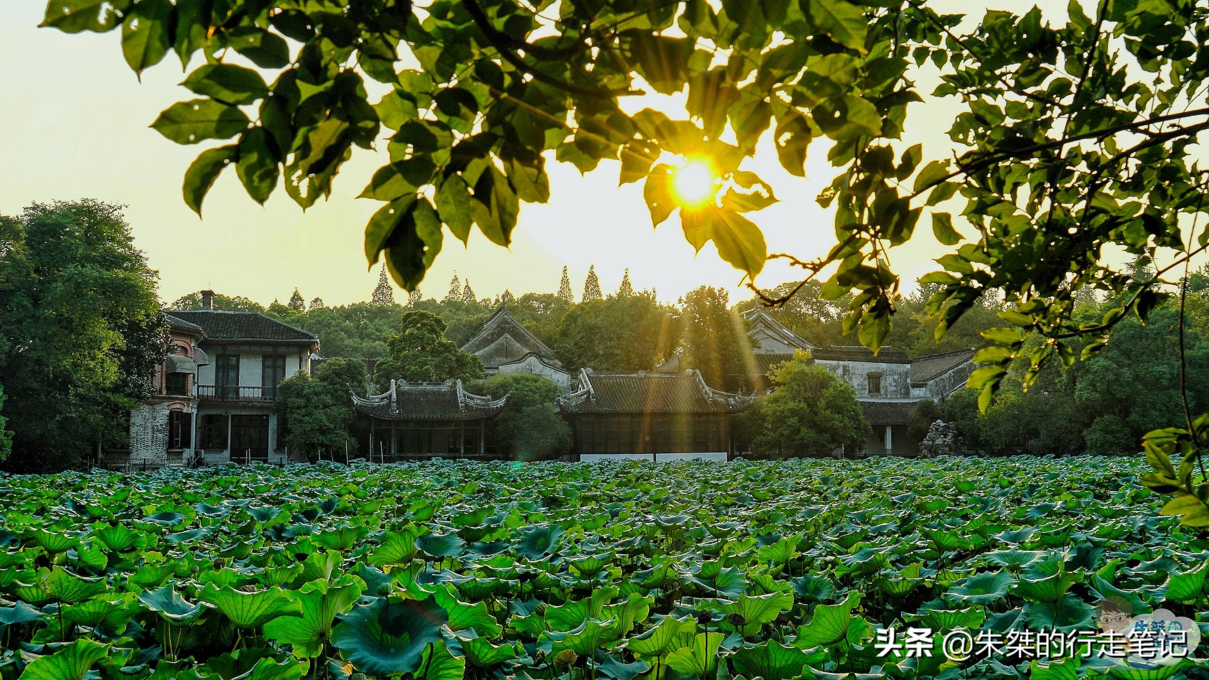 江南六大古镇南浔,南浔江南六大古镇排名