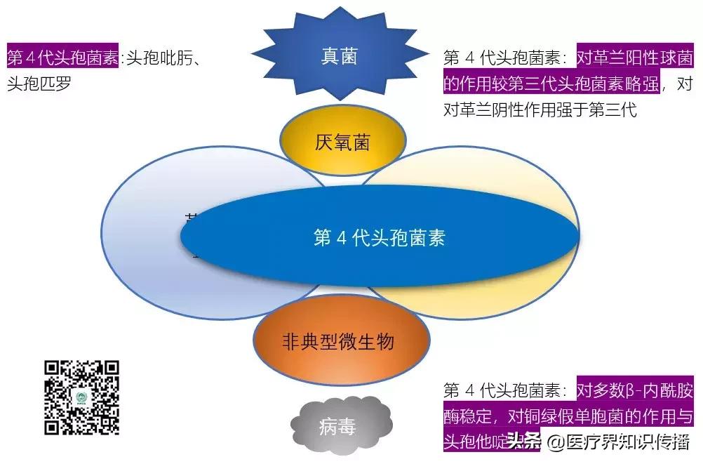 抗菌药谱大全及图片,抗菌谱图解大全