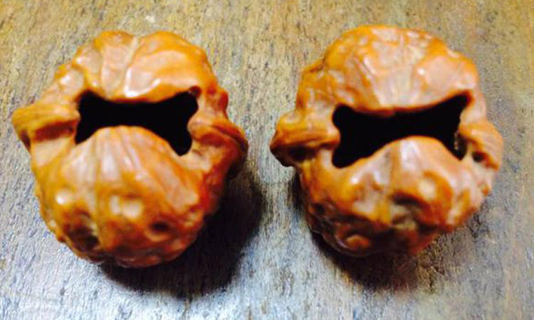 开口笑核桃是拼接的吗,原色元宝开口笑核桃