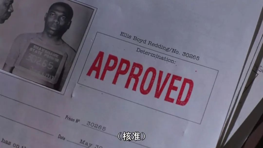 最好的一部电影被所有人低估了,最难超越的五部电影