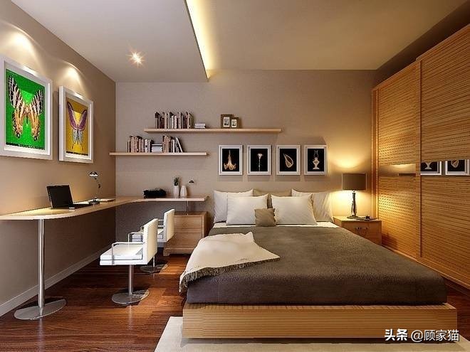 顾家猫家装平台,顾家宠物猫舍